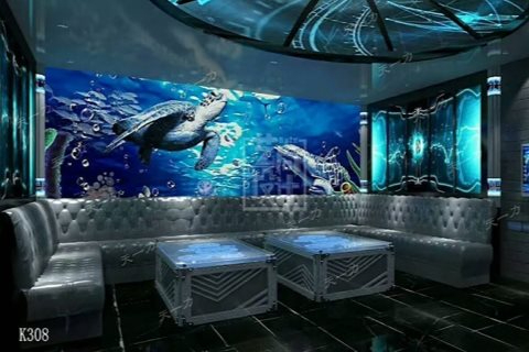 娄底小时场ktv：划算还是不划算-娄星区ktv预定